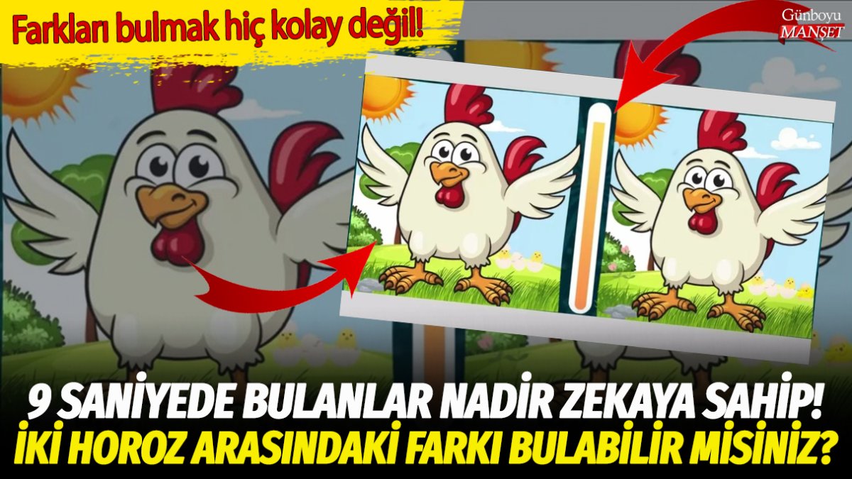 İki beyaz horoz arasındaki farkları bulanlar nadir zekaya sahip oluyor! İşte yalnızca yüksek IQ'ye sahip olanların 9 saniyede çözdüğü o zeka sorusu