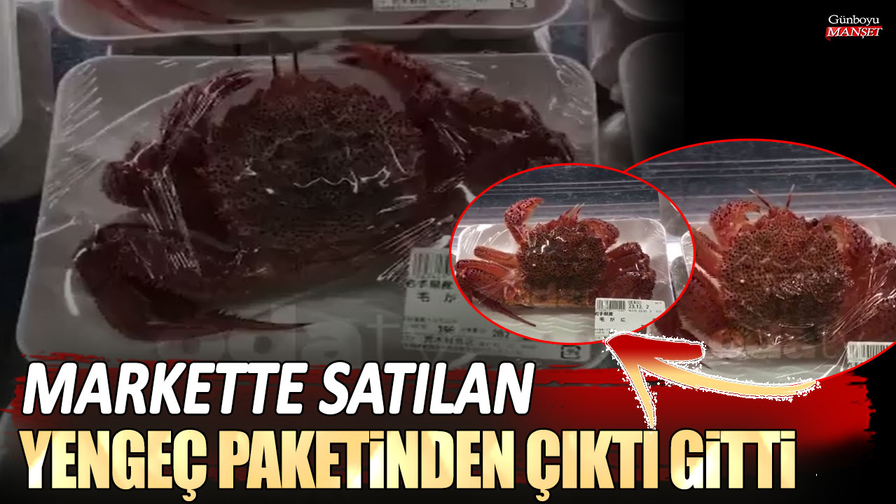 Markette satılan yengeç paketinden çıktı gitti!