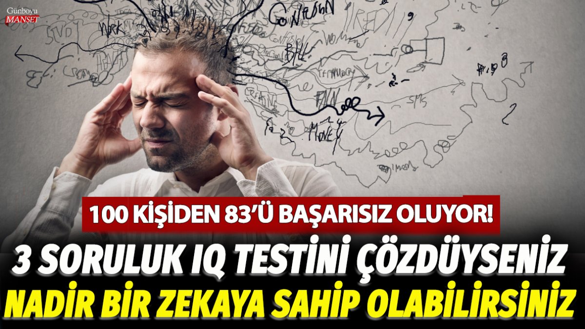 100 kişiden 83'ü başarısız oluyor! 3 soruluk IQ testini çözdüyseniz nadir bir zekaya sahip olabilirsiniz