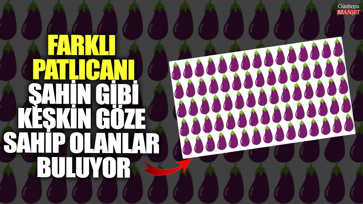 Farklı patlıcanı şahin gibi keskin göze sahip olanlar buluyor! Bakalım siz kaç saniyede bulacaksınız