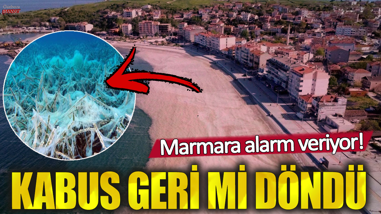 Marmara alarm veriyor! Kabus yeniden mi döndü