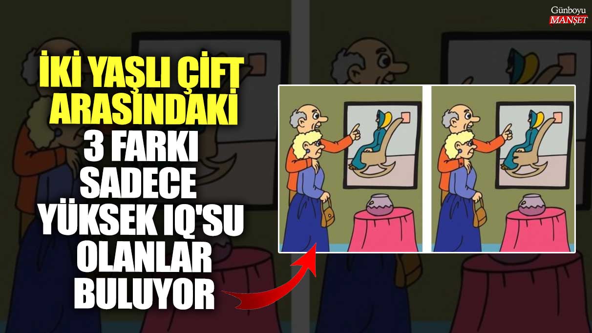 İki yaşlı çift arasındaki 3 farkı sadece yüksek IQ'su olanlar buluyor