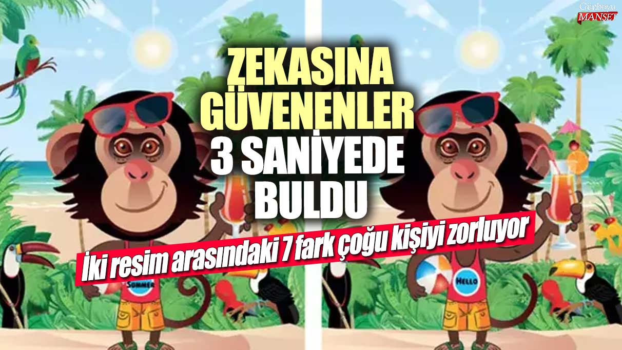 İki resim arasındaki 7 fark çoğu kişiyi zorluyor! Zekasına güvenenler 3 saniyede buldu