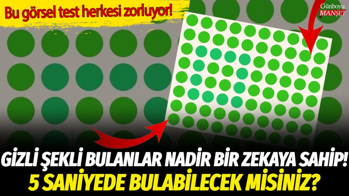 Yeşil noktalar arasında gizli şekli bulanlar nadir bir zekaya sahip! İşte yalnızca yüksek zekalıların 5 saniyede cevapladığı o soru