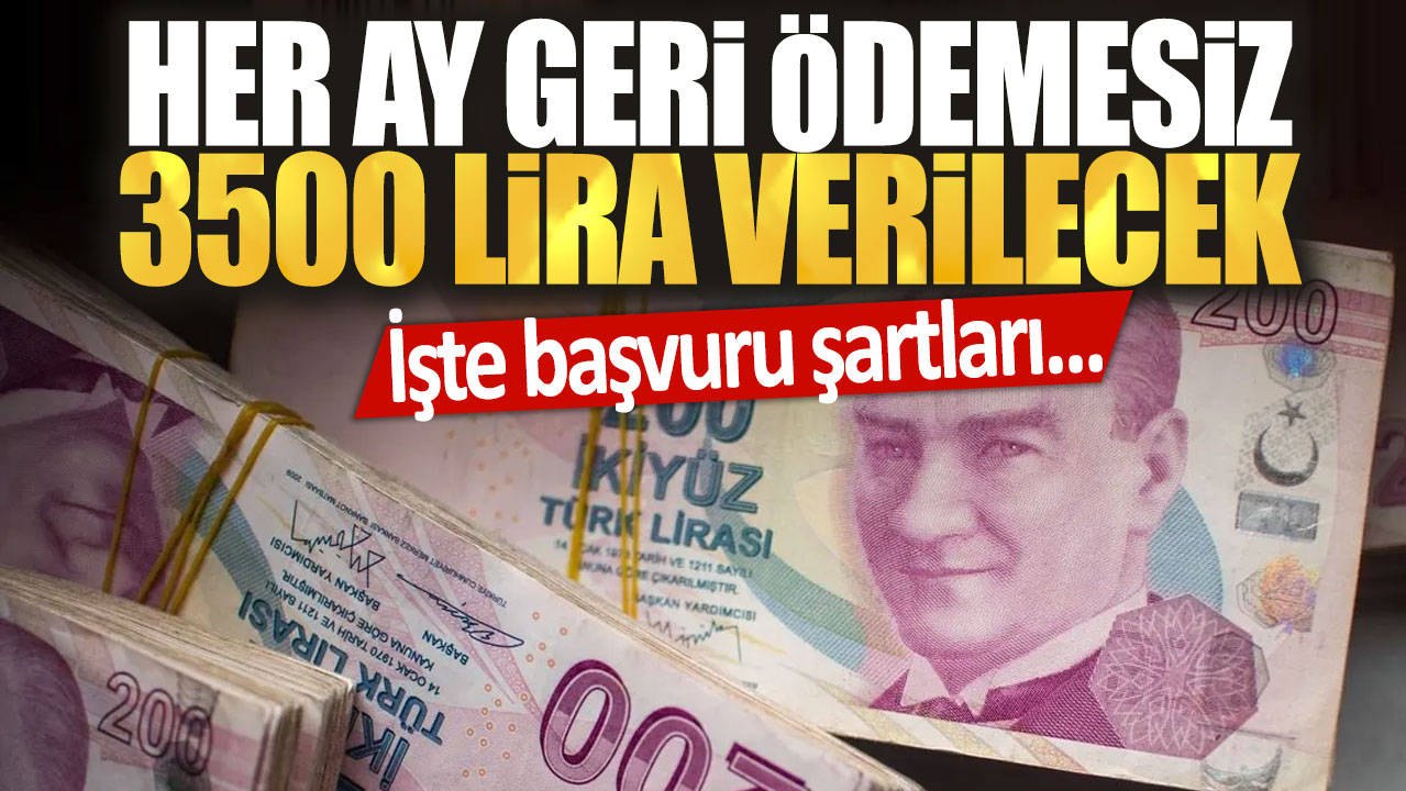 Her ay geri ödemesiz 3500 lira verilecek: İşte başvuru şartları...