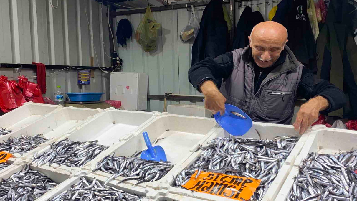Hamsi fiyatları 110 liraya çıktı
