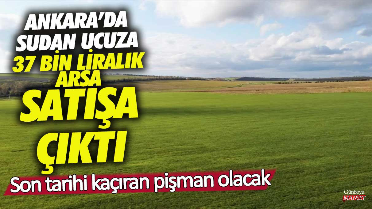 Ankara’da sudan ucuza 37 bin liralık arsa satışa çıktı! Son tarihi kaçıran pişman olacak