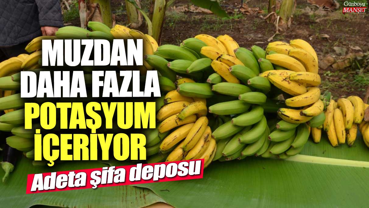 Muzdan daha fazla potasyum içeriyor!  Adeta şifa deposu