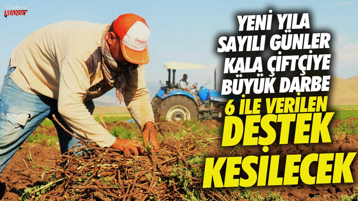 Yeni yıla sayılı günler kala çiftçiye büyük darbe!  6 ile verilen destek kesilecek