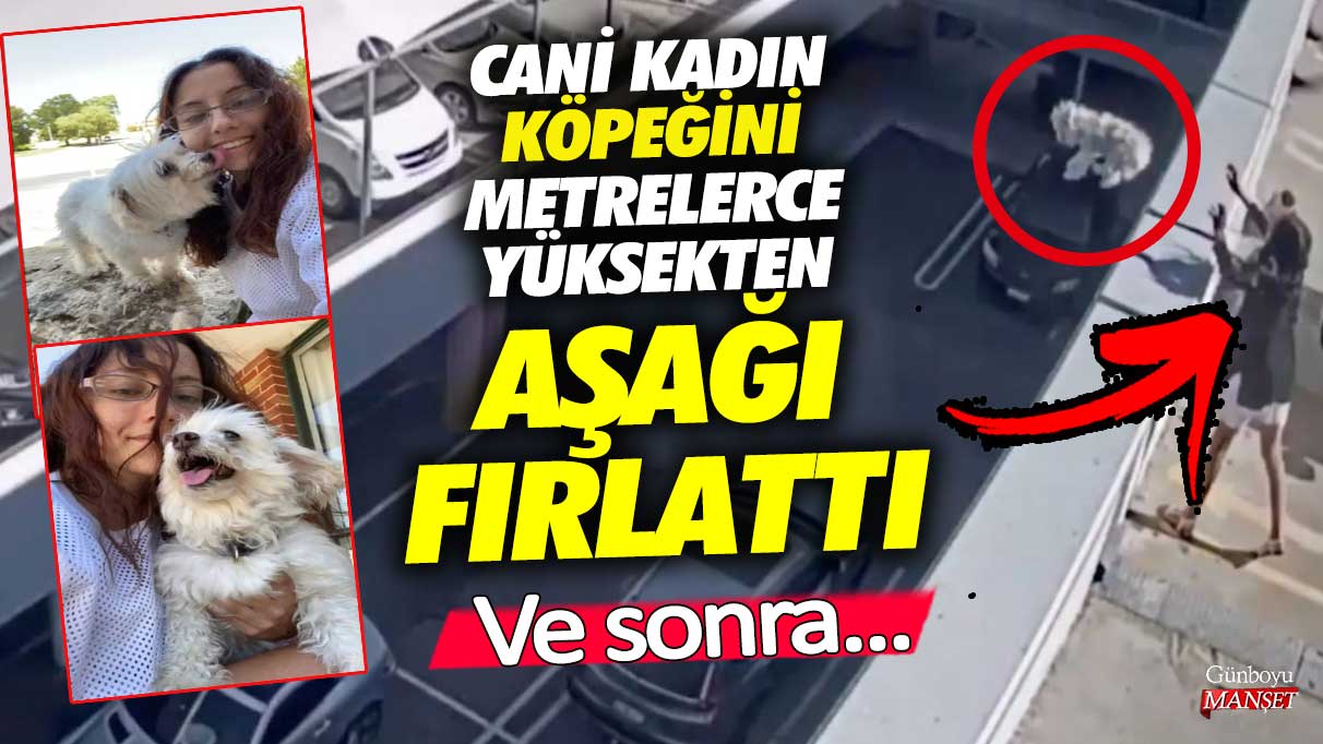 Avustralya’da cani kadın köpeğini metrelerce yükseklikten aşağı fırlattı ve sonra