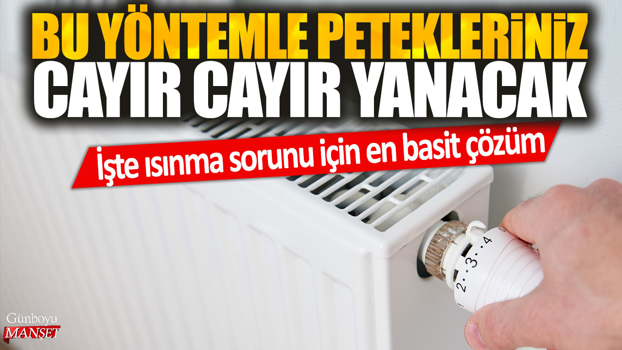 Bu yöntemle petekleriniz cayır cayır yanacak: İşte ısınma sorunu için en basit çözüm