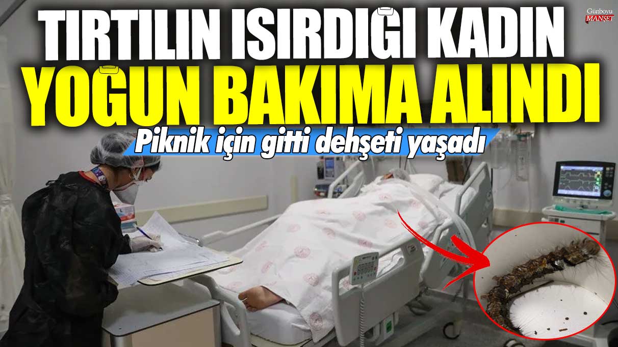 Tırtılın ısırdığı kadın yoğun bakıma alındı! Piknik için gitti dehşeti yaşadı