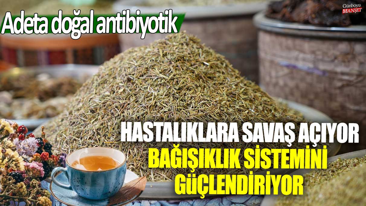 Hastalıklara savaş açıyor! Bağışıklık sistemini güçlendiriyor