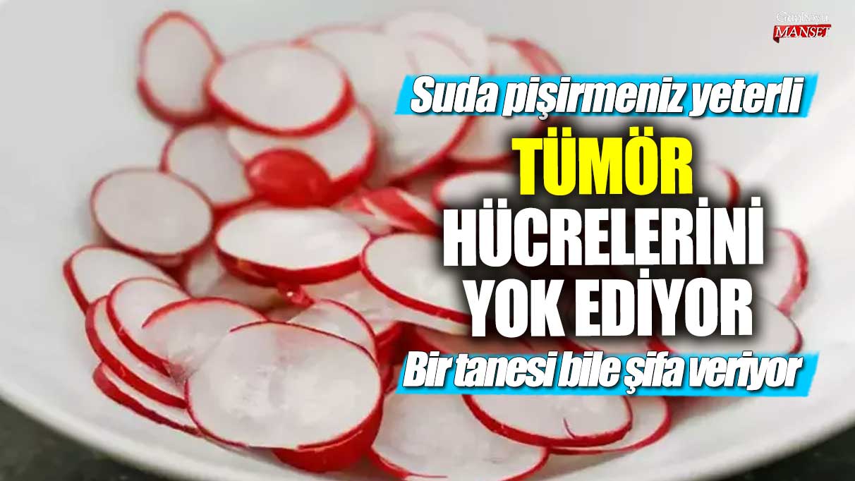 Suda pişirmeniz yeterli! Tümör hücrelerini yok ediyor... Bir tanesi bile şifa veriyor