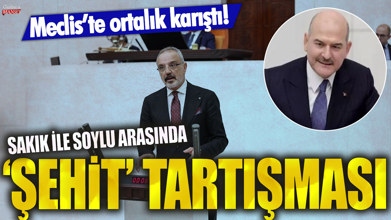 Süleyman Soylu ve Sırrı Sakık arasında 'şehit' tartışması!  Meclis'te ortalık karıştı