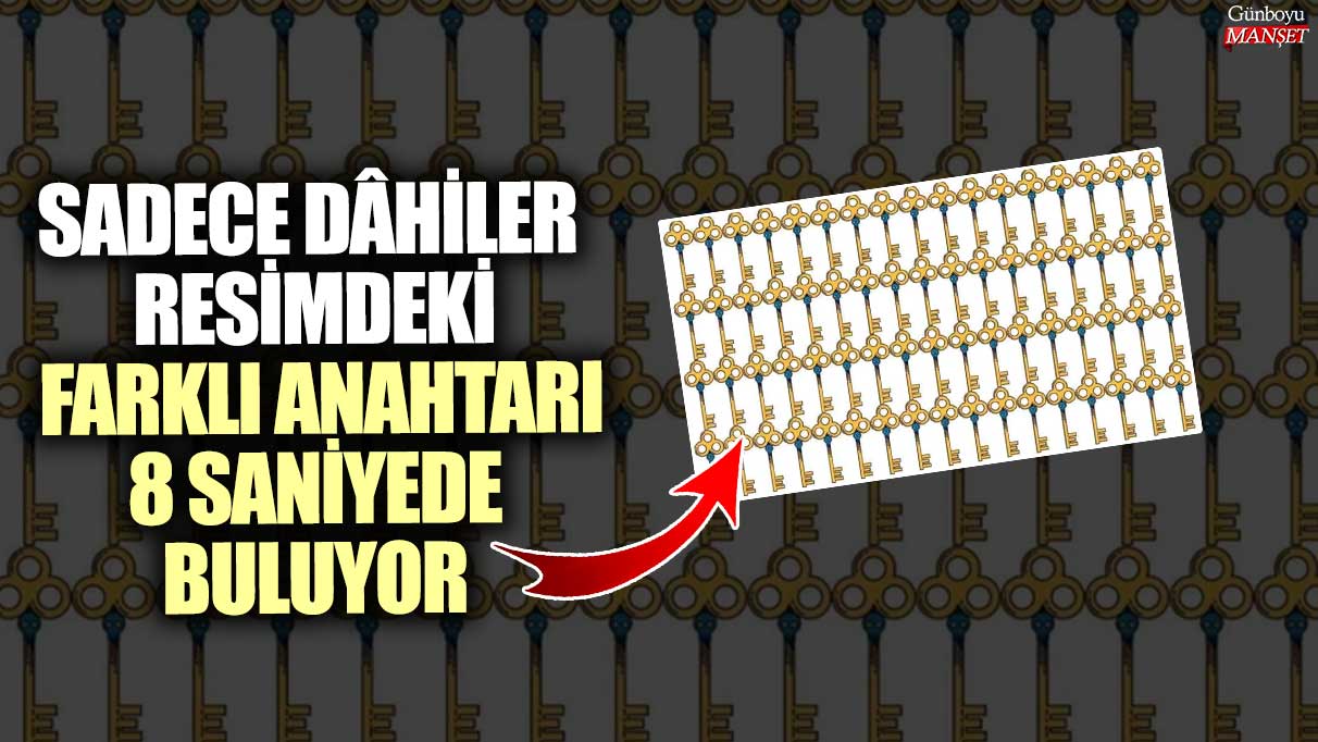 Sadece dâhiler resimdeki farklı anahtarı 8 saniyede buluyor