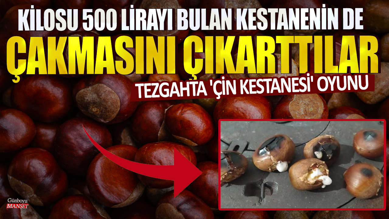 Kilosu 500 lirayı bulan kestanenin de çakmasını çıkarttılar: Tezgahta 'Çin kestanesi' oyunu