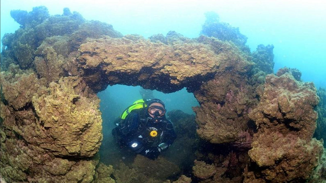 Avustralya kıyılarında keşfedilen devasa yerleşim yeri