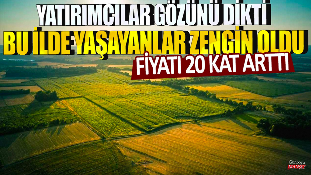 Fiyatı 20 kat arttı! Yatırımcılar gözünü dikti, bu ilde yaşayanlar zengin oldu