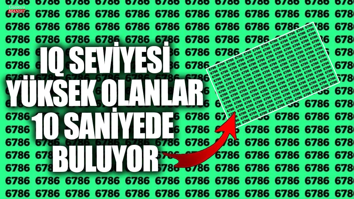 IQ seviyesi yüksek olanlar 10 saniyede buluyor!