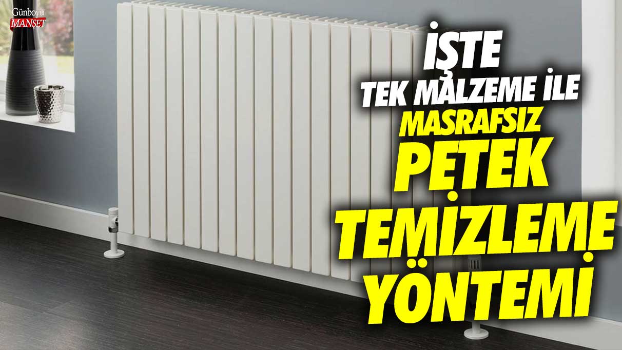 Tek malzeme ile masrafsız petek temizleme yöntemi!