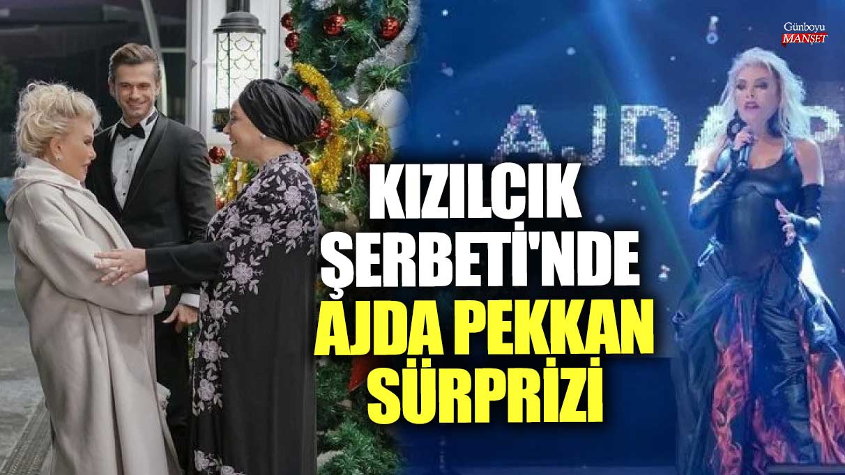 Kızılcık Şerbeti'nde Ajda Pekkan sürprizi