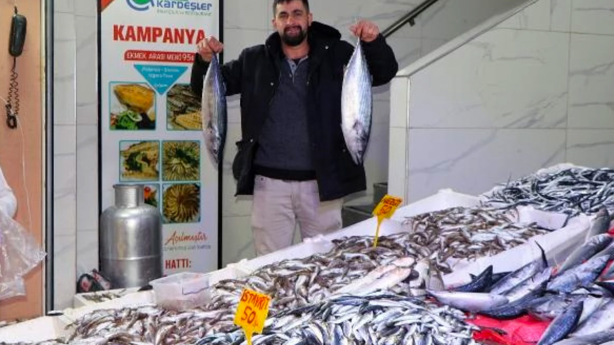 Samsun'da hamsi fiyatları yükseldi