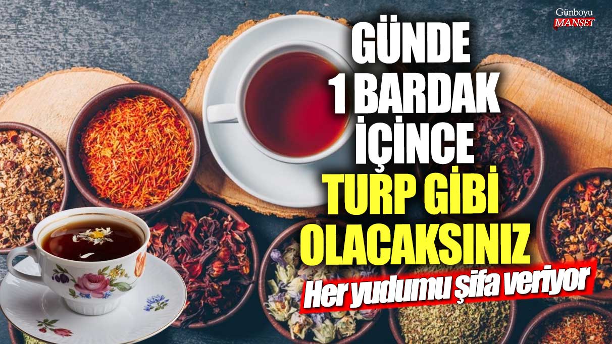 Günde 1 bardak içince turp gibi olacaksınız! Her yudumu şifa veriyor