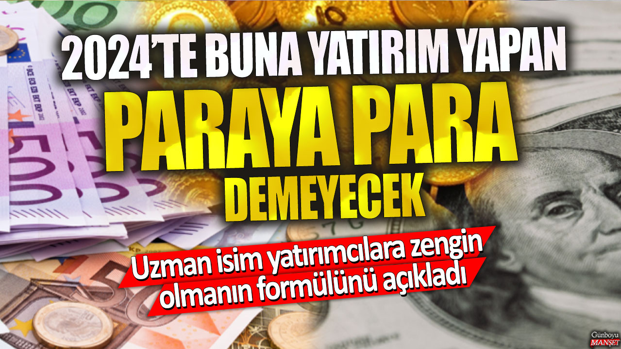 2024’te buna yatırım yapan paraya para demeyecek! Uzman isim yatırımcılara zengin olmanın formülünü açıkladı