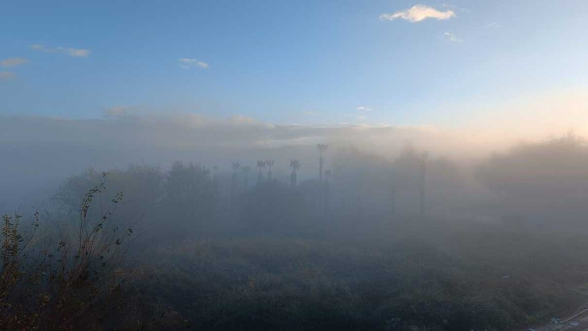 Muğla Milas’ta sis etkili oldu