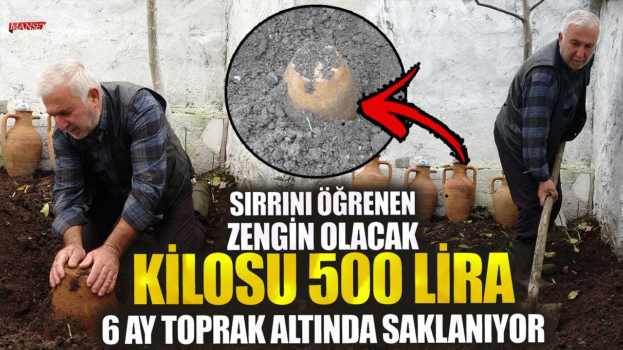 Kilosu 500 lira! Sırrını öğrenen zengin olacak