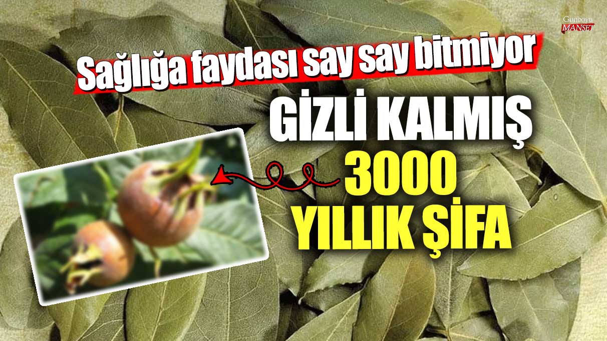 Sağlığa faydası say say bitmiyor! Gizli kalmış 3000 yıllık şifa