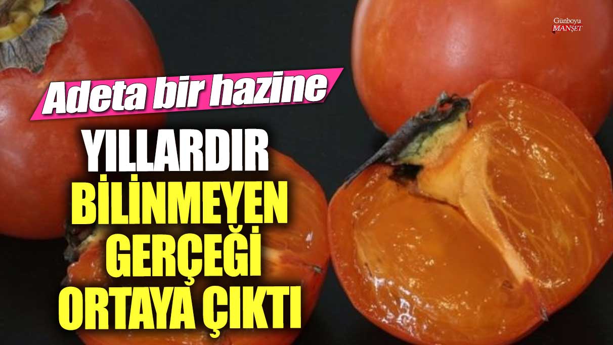 Yıllardır bilinmeyen gerçeği ortaya çıktı!  Meyveler arasında adeta bir hazine