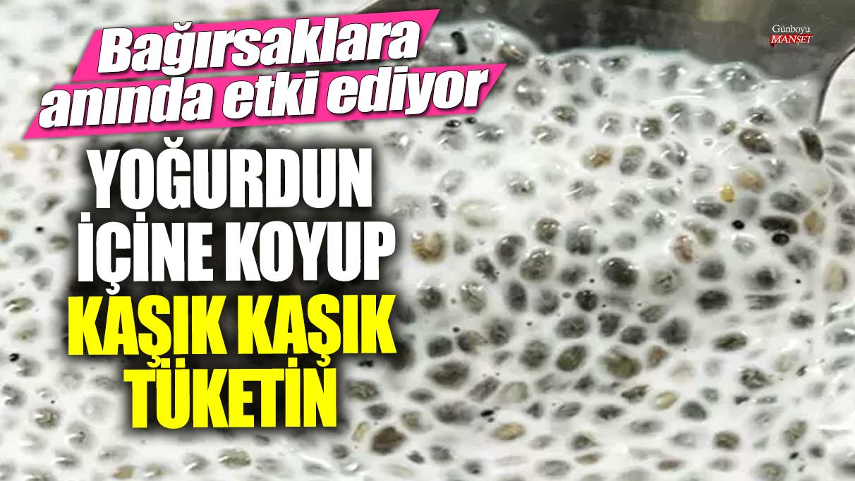 Yoğurdun içine koyup kaşık kaşık tüketin!  Bağırsaklara anında etki ediyor