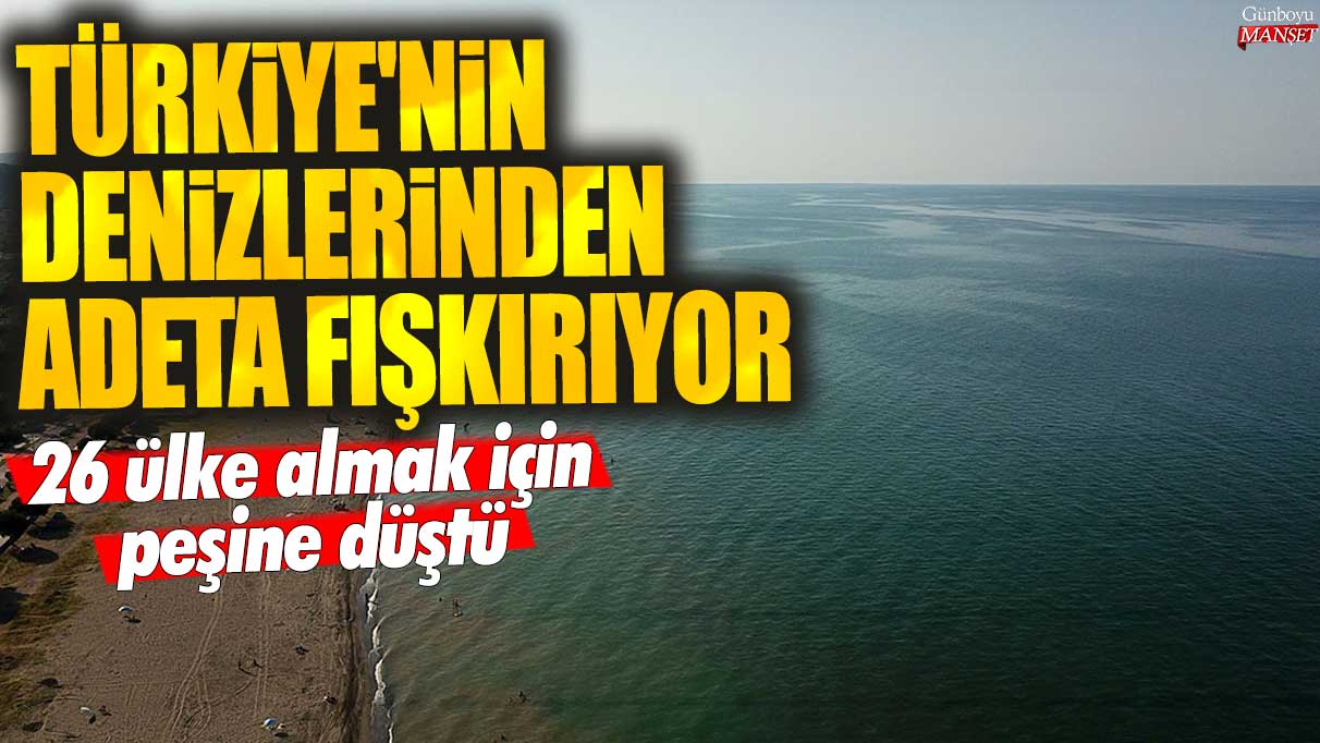 26 ülke almak için peşine düştü! Türkiye'nin denizlerinden adeta fışkırıyor