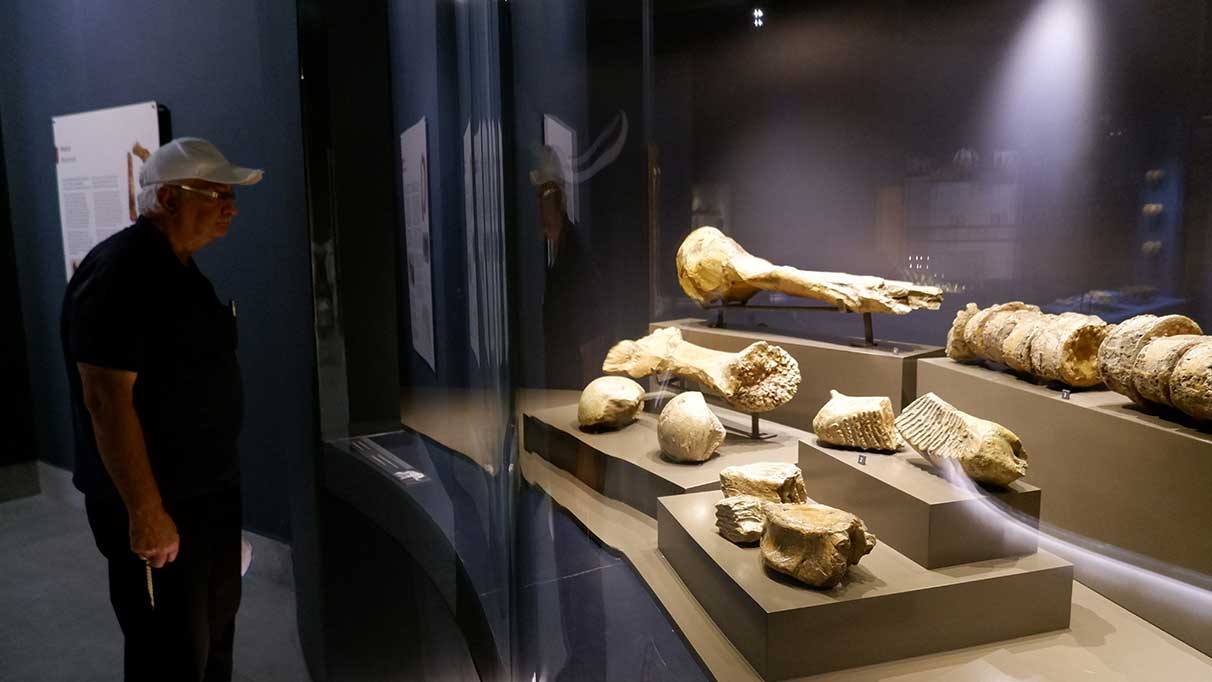 Dev mamut iskeleti görenleri hayrete düşürüyor