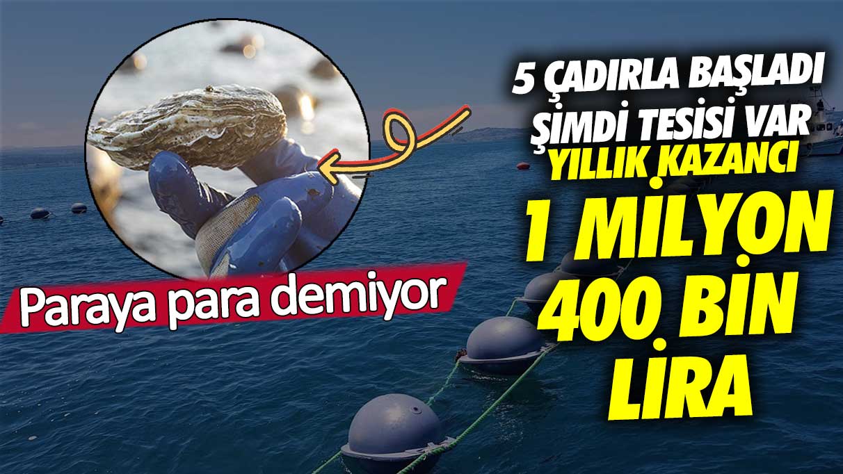 Yıllık kazancı 1 milyon 400 bin lira! 5 çadırla başladı şimdi tesisi var paraya para demiyor