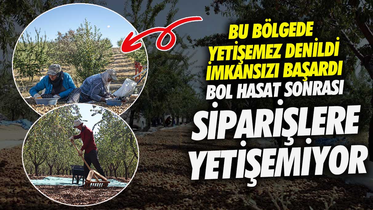 Bu bölgede yetişemez denildi imkansızı başardı!  Bol hasat sonrası siparişlere yetişemiyor