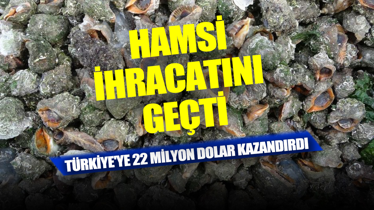 Hamsi ihracatını geçti: Türkiye'ye 22 milyon dolar kazandırdı