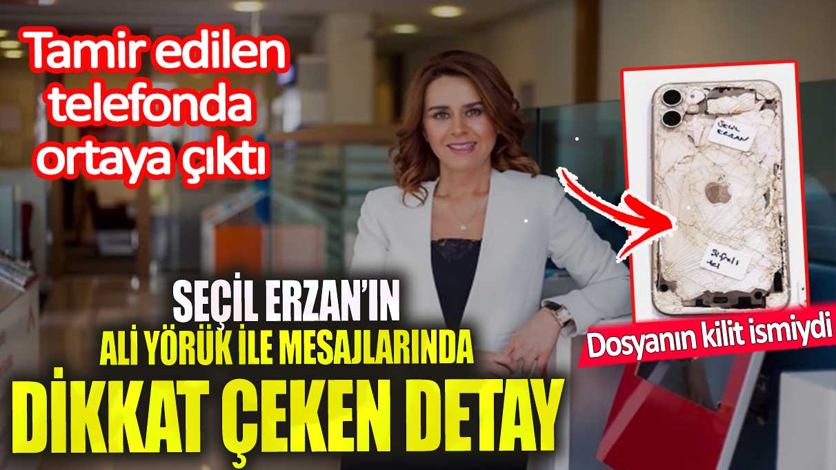 Seçil Erzan’ın Ali Yörük ile mesajlarında dikkat çeken detay! Dosyanın kilit ismiydi