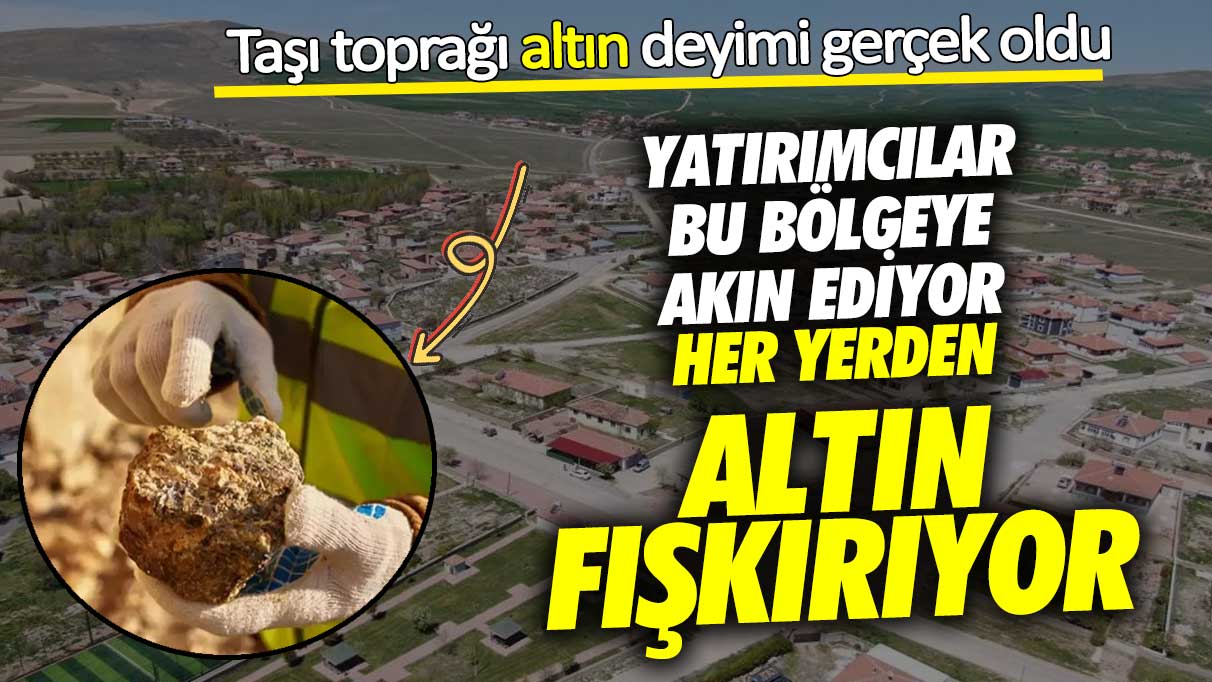 Taşı toprağı altın deyimi gerçek oldu! Yatırımcılar bu bölgeye akın ediyor her yerden altın fışkırıyor