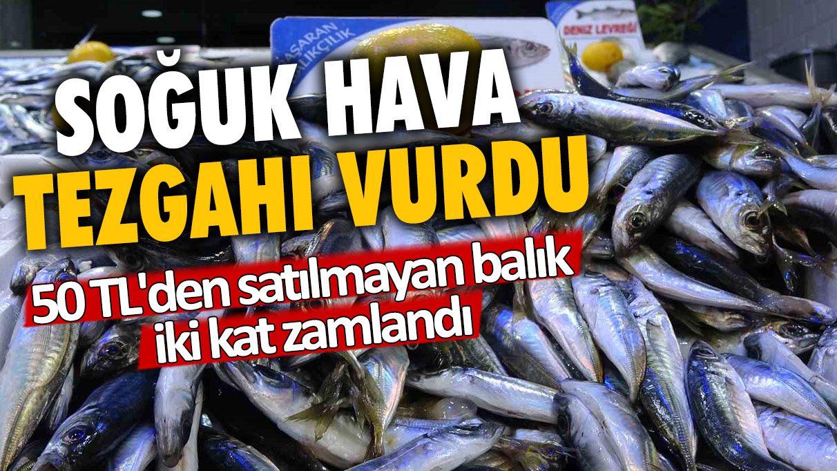 Soğuk hava tezgahı vurdu: 50 TL'den alınmayan balık iki kat zamlandı