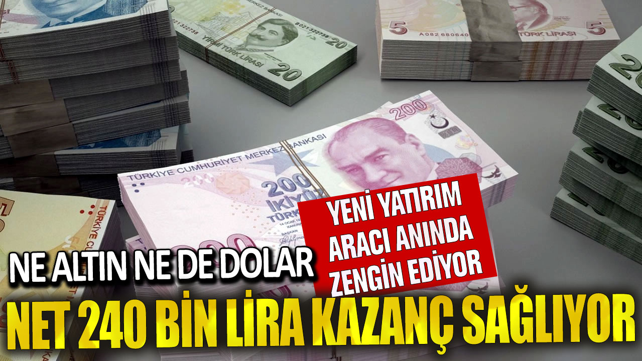 Ne altın ne de dolar! Yeni yatırım aracı anında zengin ediyor: Net 240 bin lira kazanç sağlıyor