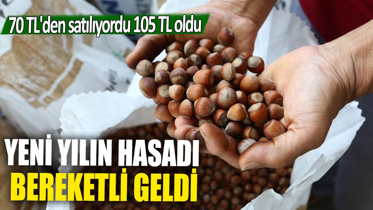 Yeni yılın hasadı bereketli geldi: 70 TL'den satılıyordu 105 TL oldu