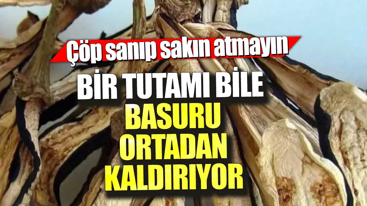 Çöp sanıp sakın atmayın! Bir tutamı bile basuru ortadan kaldırıyor