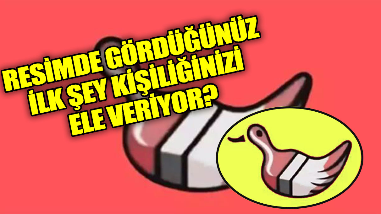 Resimdeki gizli mesaj: İlk gördüğün şey senin kim olduğunu söylüyor!