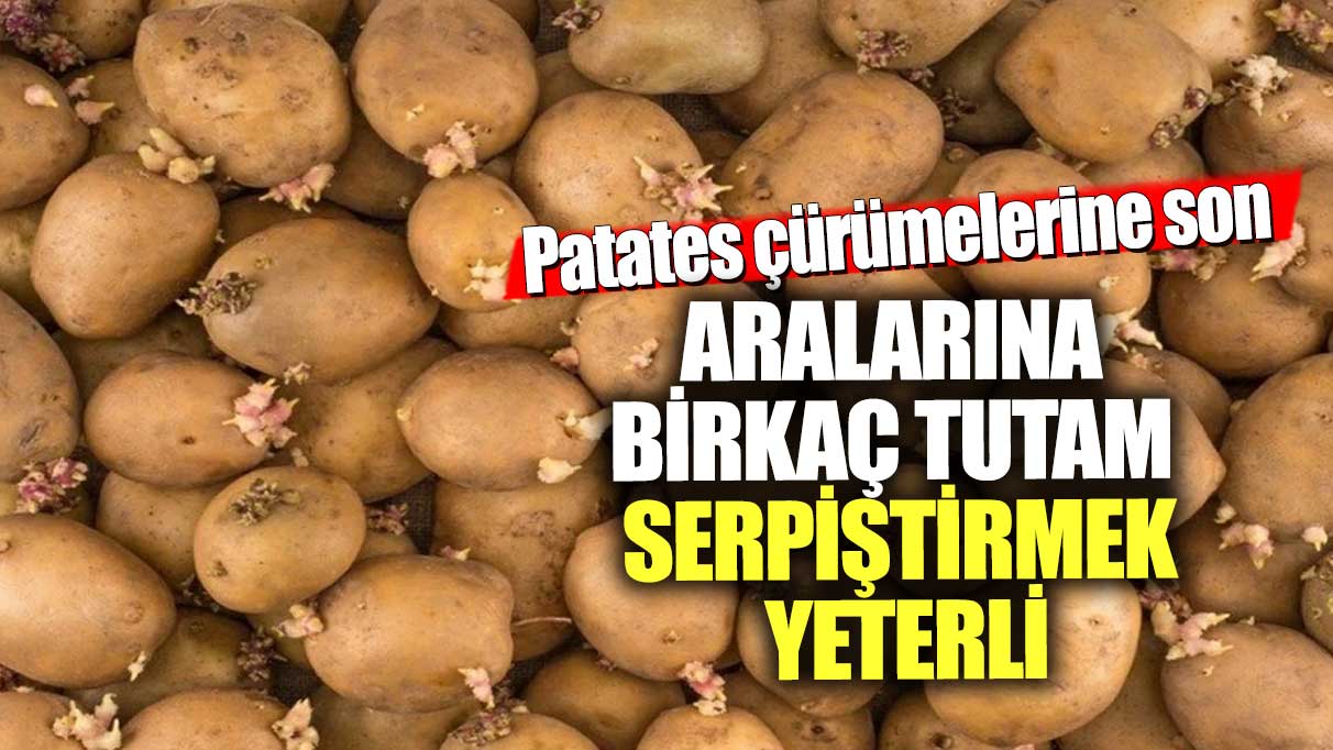 Patates çürümelerine son! Aralarına birkaç tutam serpiştirmek yeterli