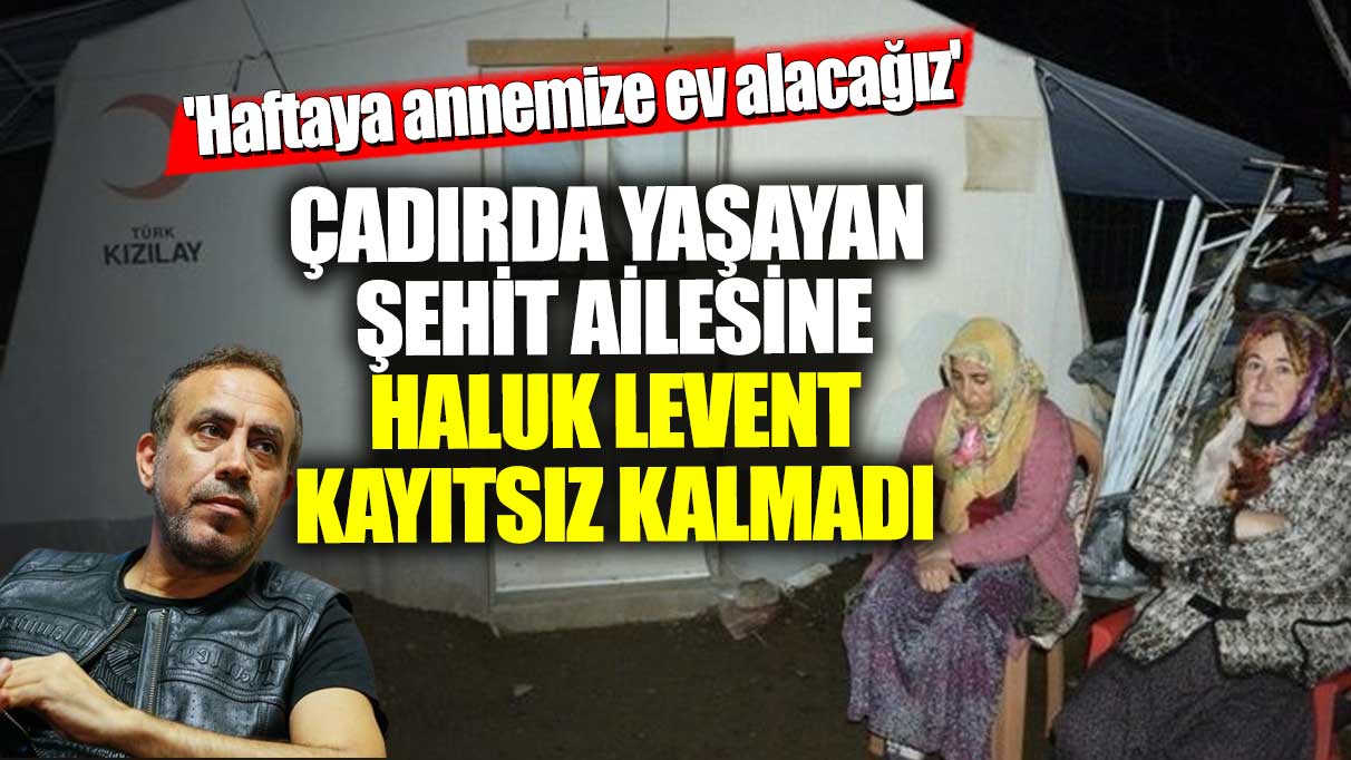 Çadırda yaşayan şehit ailesine Haluk Levent kayıtsız kalmadı! Haftaya annemize ev alacağız