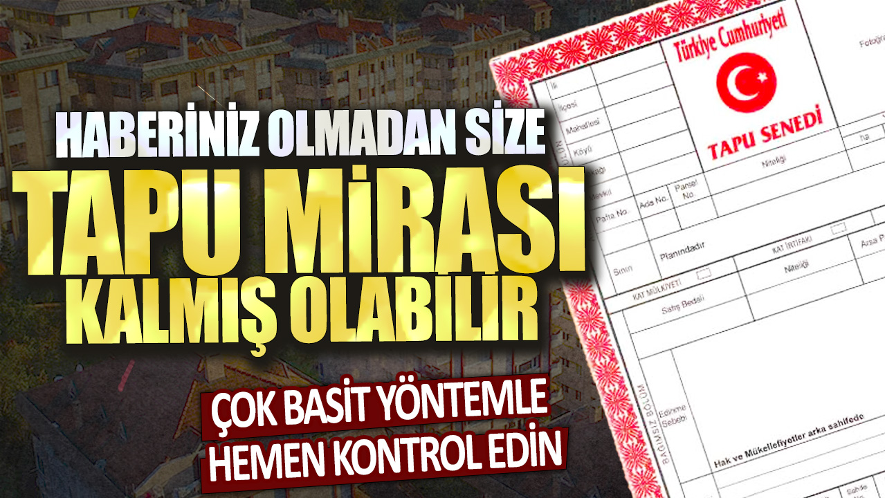 Haberiniz olmadan size tapu mirası kalmış olabilir: Çok basit yöntemle hemen kontrol edin