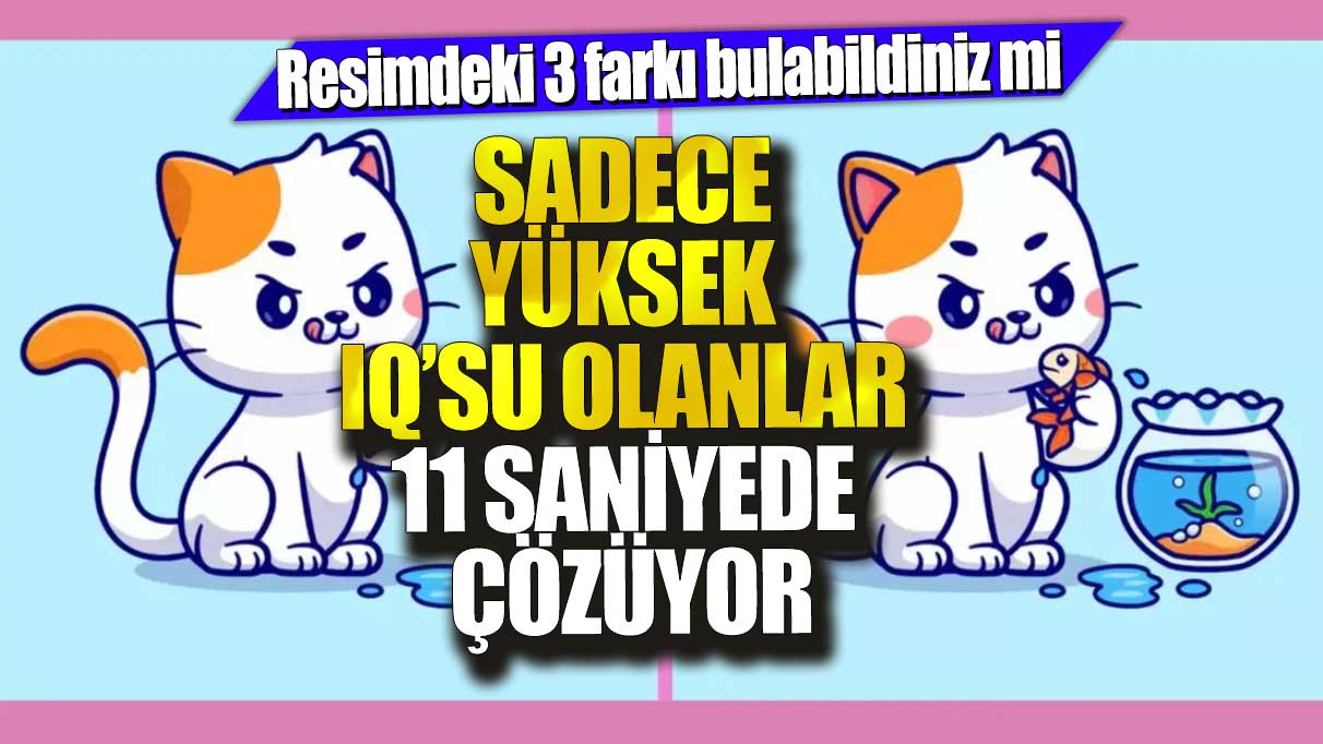 Resimdeki 3 farkı bulabildiniz mi?  Sadece yüksek IQ’su olanlar 11 saniyede çözüyor